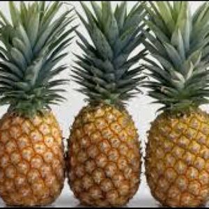 Meet your Posher, Katelyn